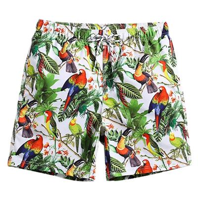 Mens tan through swimwear