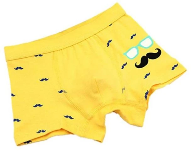 Boy Underwear Boxer