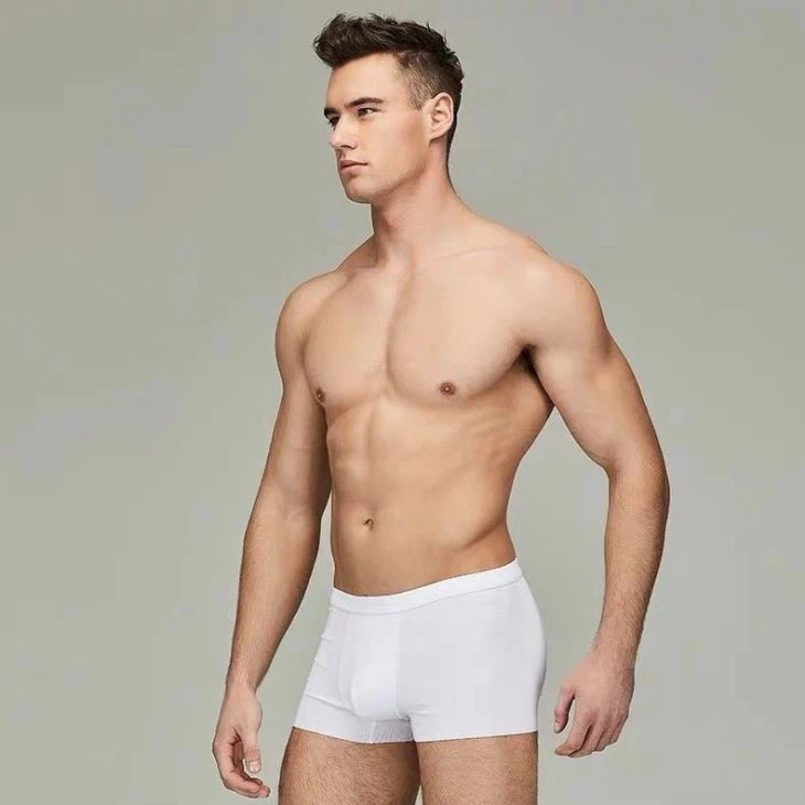 China Man Pure White Undergarment Male Underwear Manufacturers Factory
