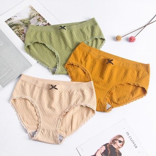 Women Five 5 Piece Anti-bacterial Nylon Panties